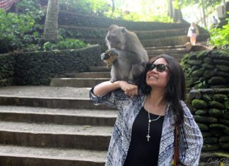Sacred Monkey Forest Sanctuary Ubud Bali - 5