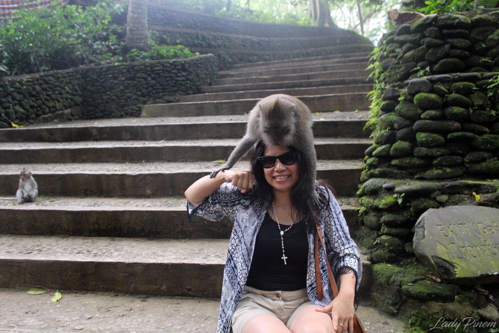 Sacred Monkey Forest Sanctuary Ubud Bali - 6