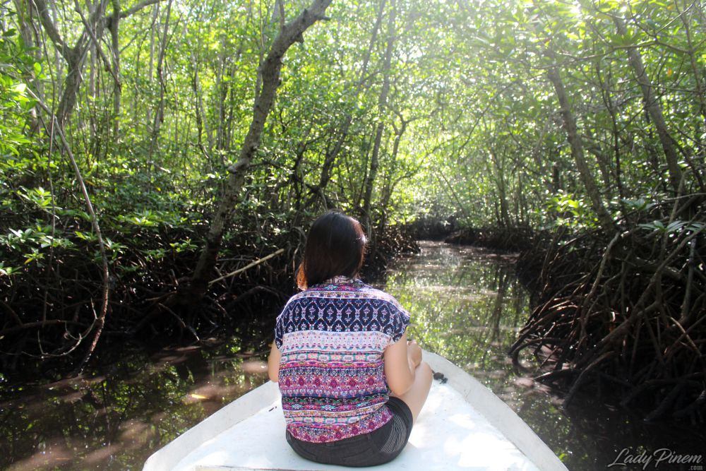 Mangrove Forest Nusa Lembongan Bali - 4