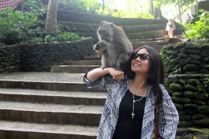 Sacred Monkey Forest Sanctuary Ubud Bali - 5