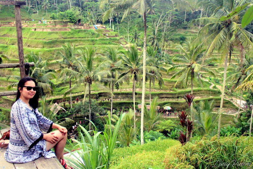 Tegallalang Rice Terrace Bali - 2
